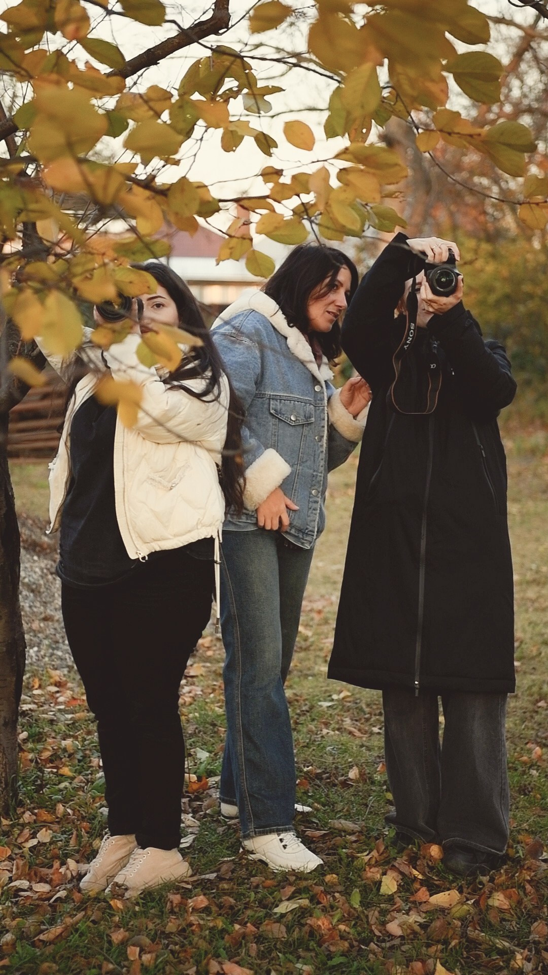 НОВОСТИ. Фотохудожник Нина Жихарева