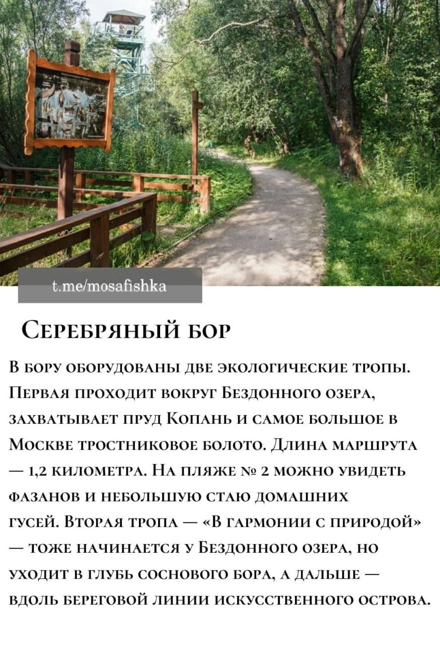 Локации для фотосессии в Москве