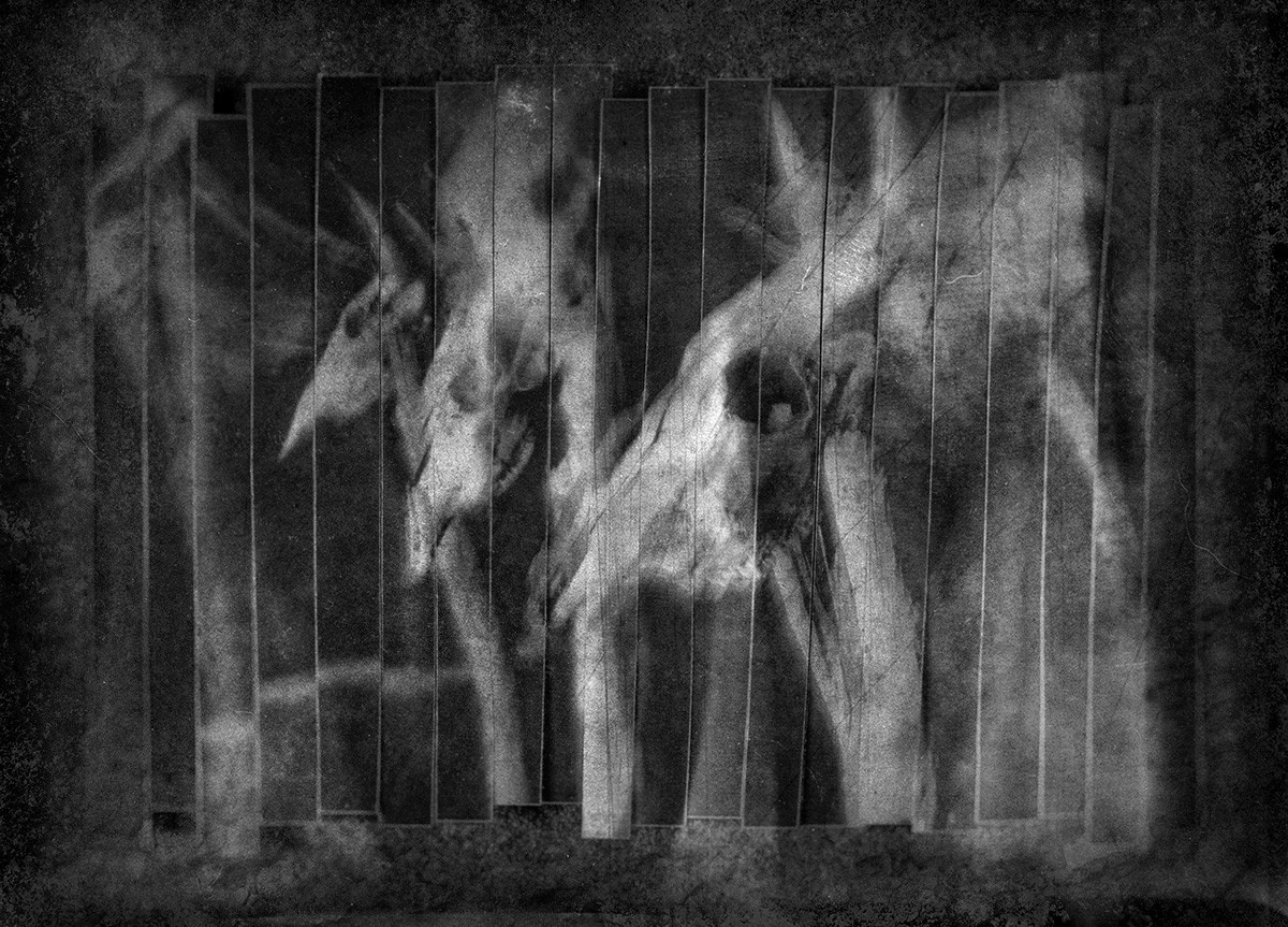 On the Ruins of time. Aleksandr Leshchenok & Marina Ogneva|Interdisciplinary artists from Siberia