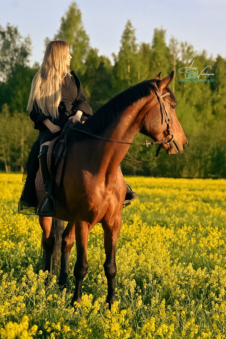 Кристина и Лидберг. LifeStyle фотограф Анна Воробьёва Санкт-Петербург