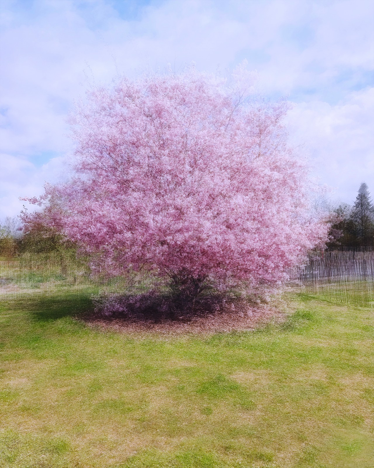 Landschaft. Vasiliy Riabovol – Fine Art Photography | Zeit, Raum und Stille
