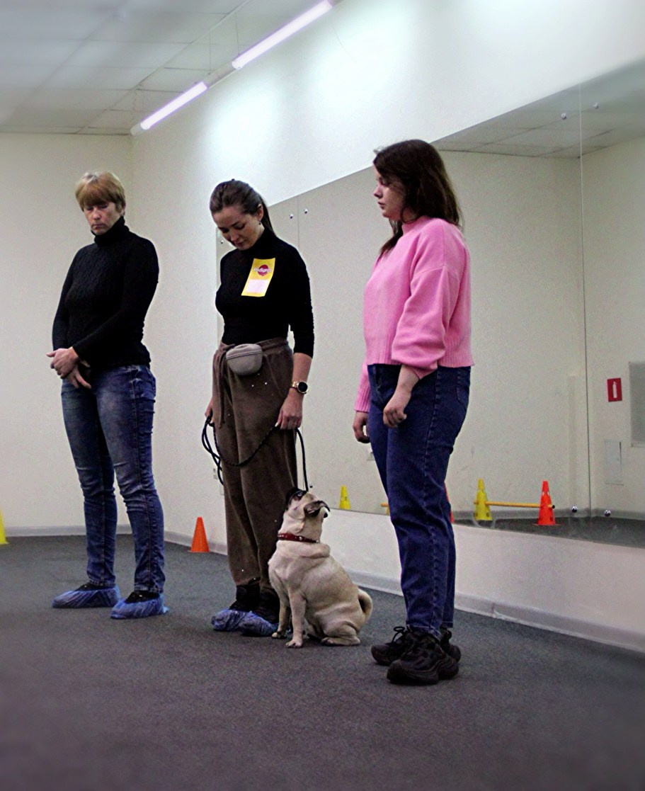 Репортаж УС «ДЦ Ральф». Катя Попова|ЛайфСтайл фотограф