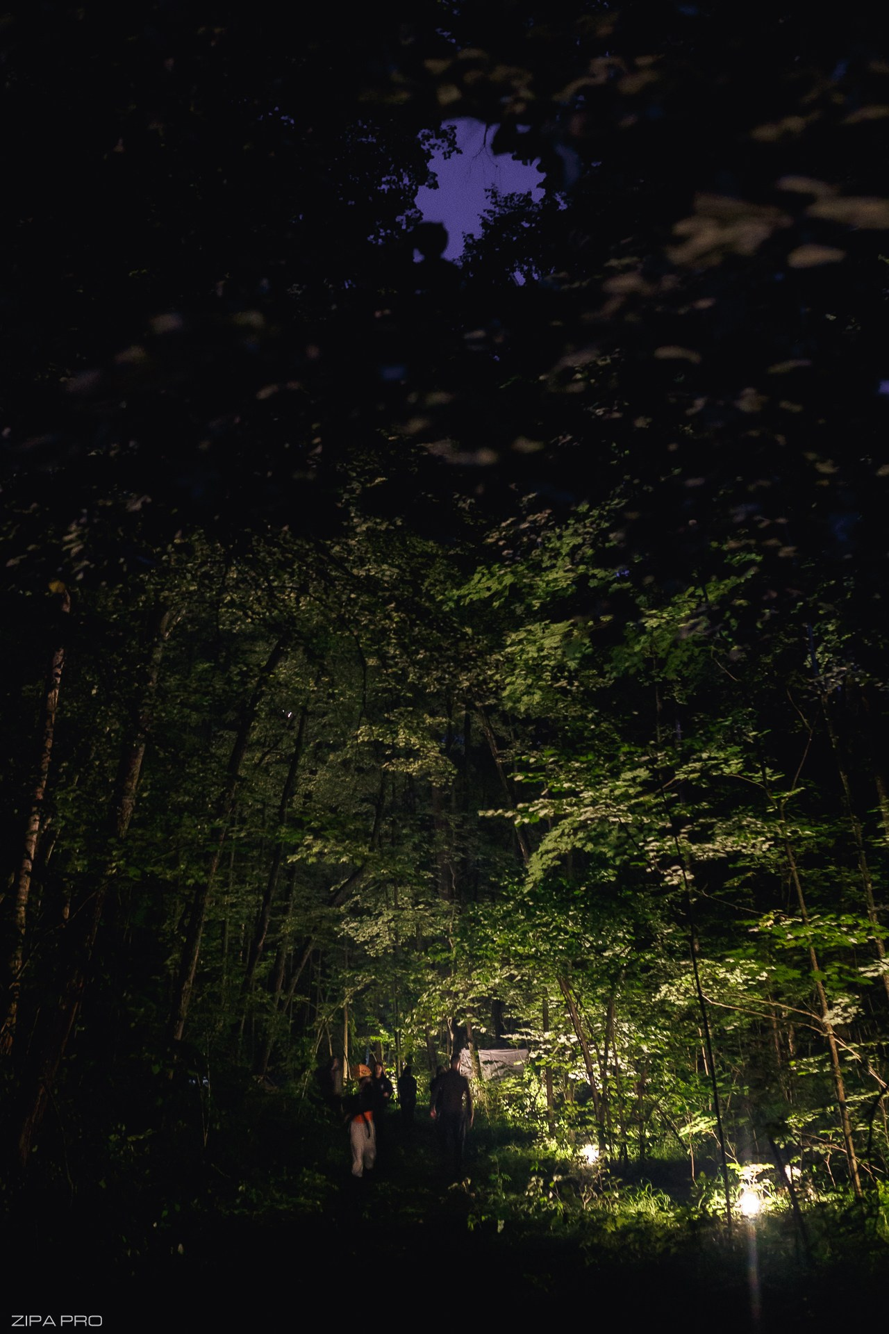 Фестиваль «Les Interes». Фотограф Zipa Pro