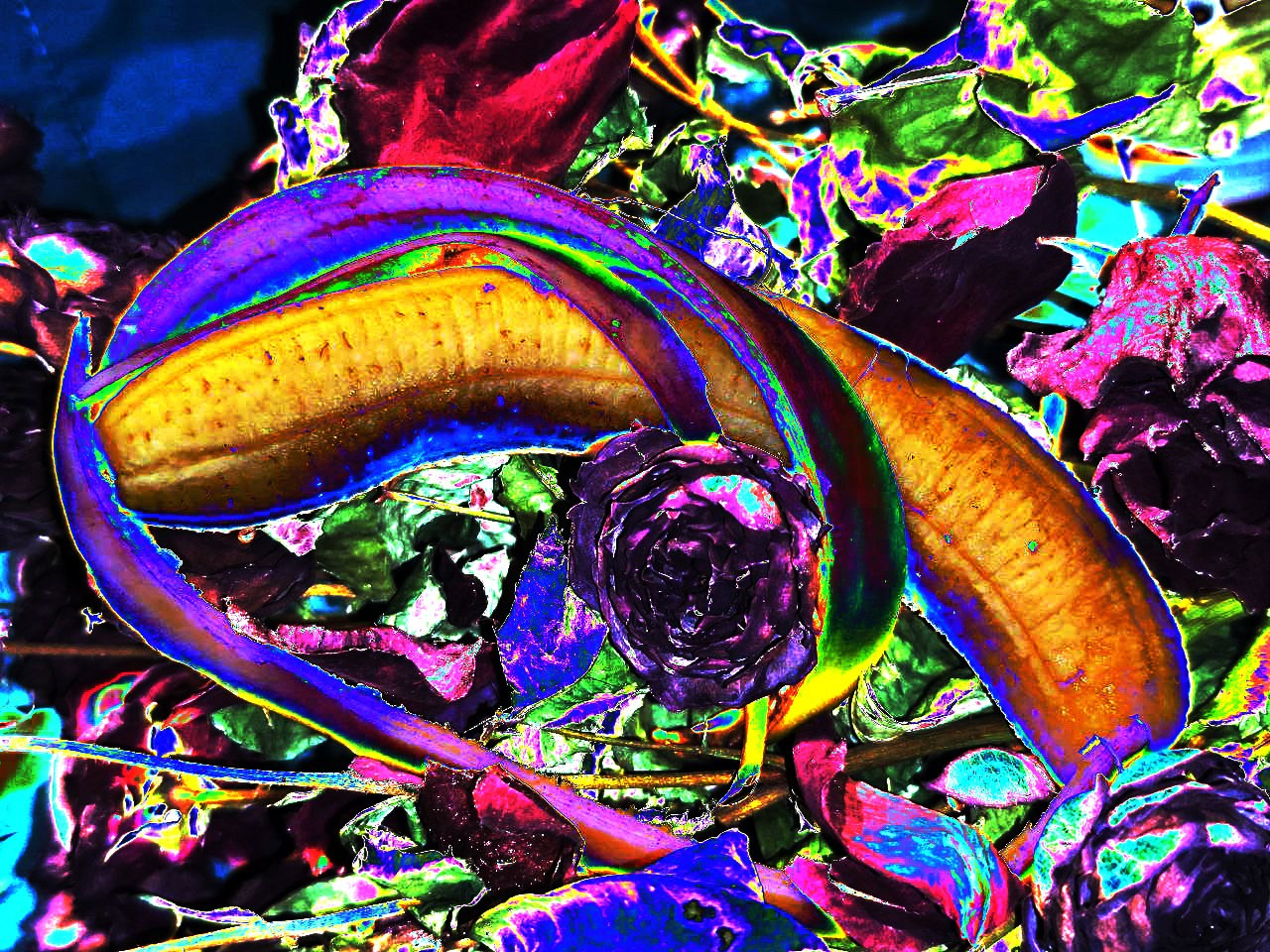 art, artist, photo, photography, photographer, contemporary art, talent, picture, pop art, gallery, фотограф, фотография, творчество, художник, рекламная съемка, творческая съемка, современное искусство, соврисск, совриск, современная фотография, творческая фотография, картины, попарт, поп арт, фото проекты, photo project, bag, сумка, cover song, обложка для музыкального альбома, обложка для книги, постер, картина