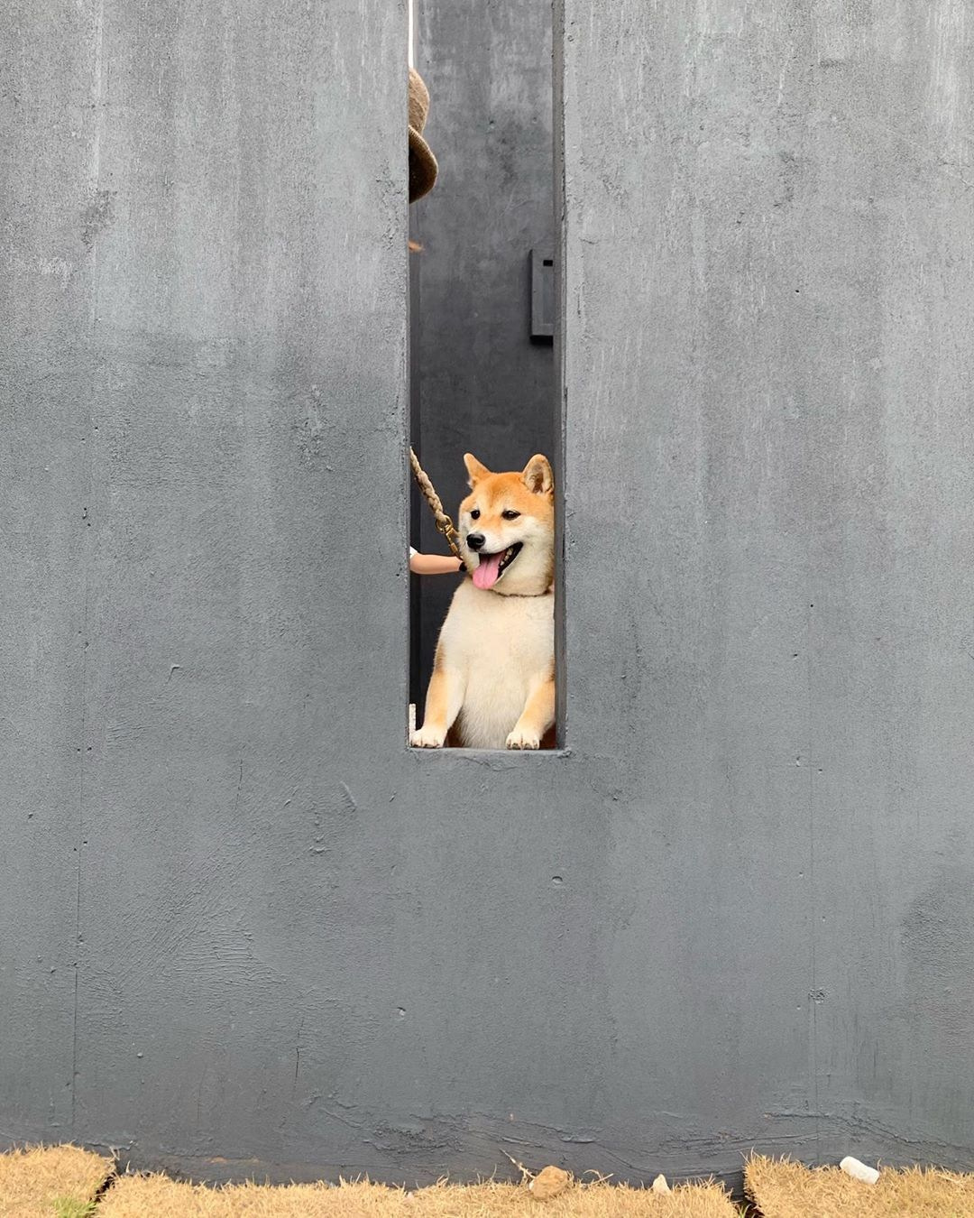 Посмотри на небо, посмотри на себя