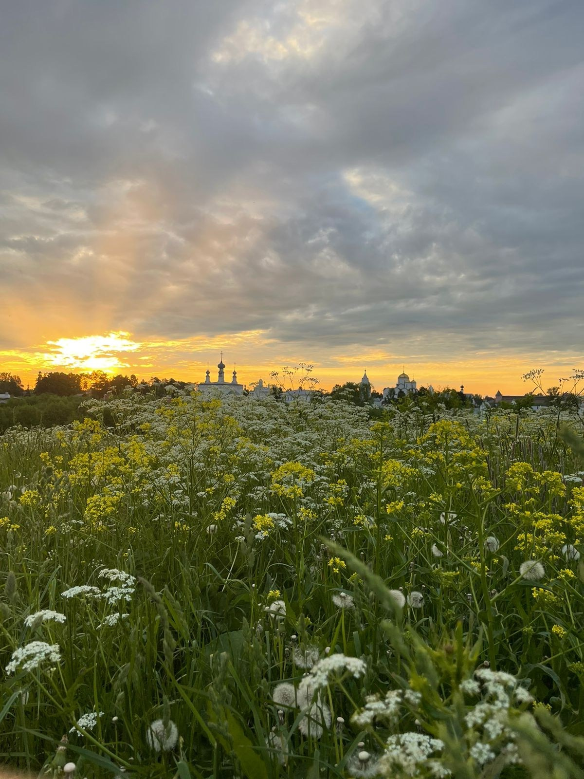 Интересные фотографии с мобильного телефона. Фотограф в Москве и Подмосковье, Николай Сорокин