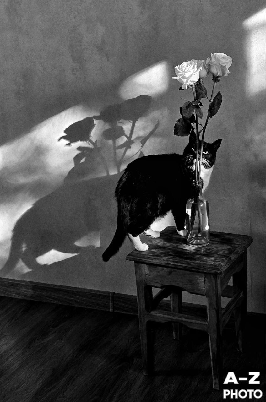 #ФОТОНЕДЕЛИ 20.04.2026. Женский семейный фотограф Тула Москва Захарова Анна