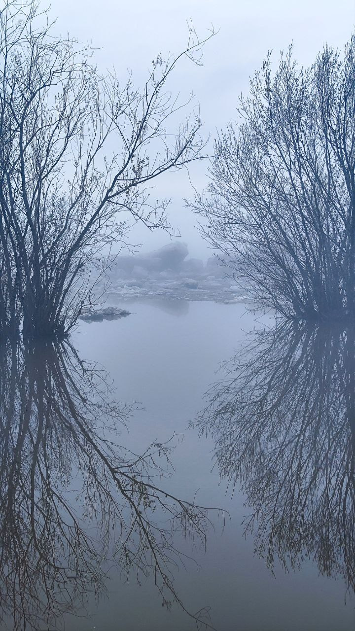 дачи, город, архитектура, стрит, репортажная фотография, фотография, Хабаровск, фотосессия, фотограф, дом, новостройка, улицы, жизнь города, town, art, photo, photographer, photo, Khabarovsk, Far East, street photo, природа, Дальний Восток, тайга, цветы, закат, небо, облака, nature, clouds, forest, flower, sunset