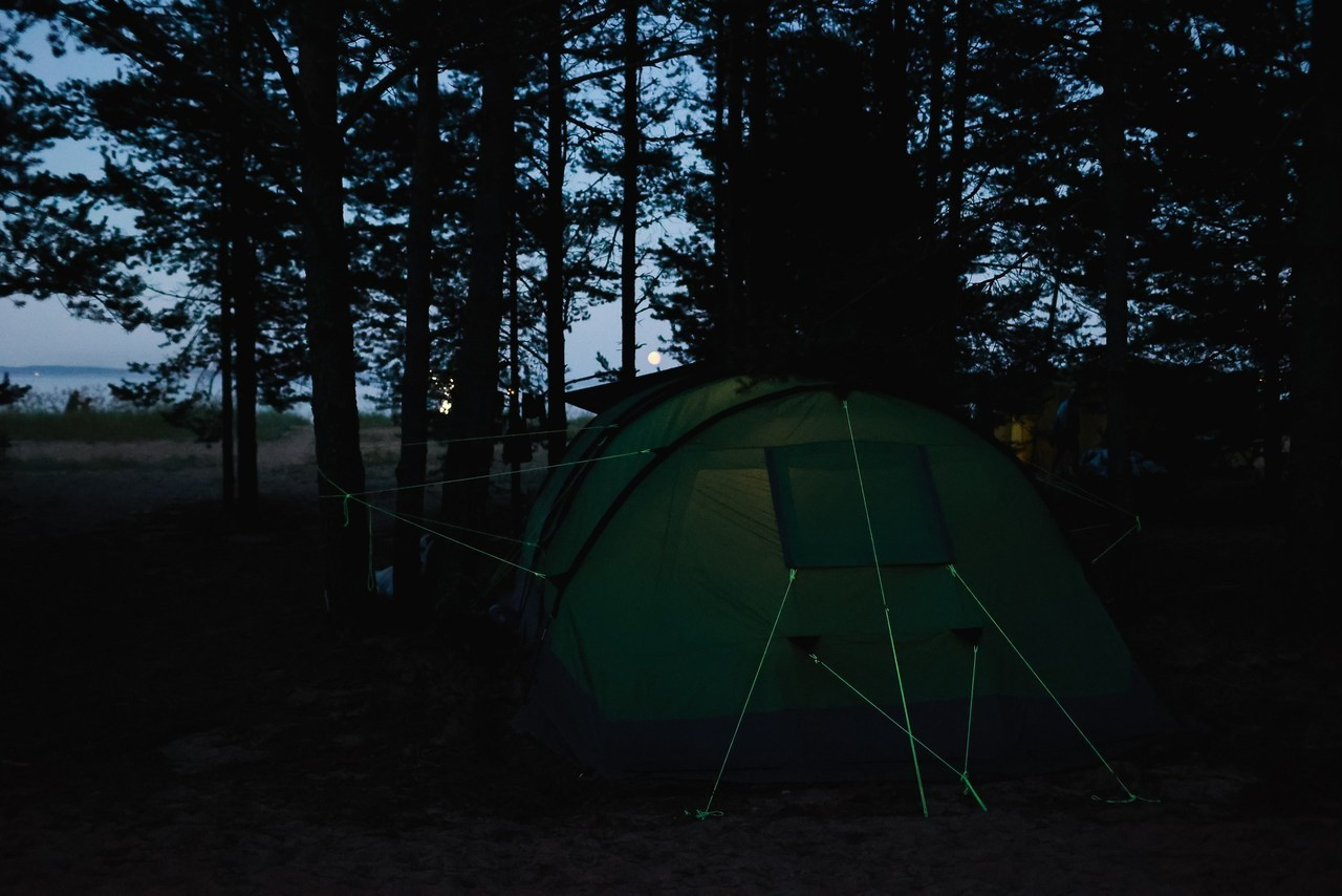 Отзывы. Саша Кушнерова Фотографии. Sasha Kushnerova Photos