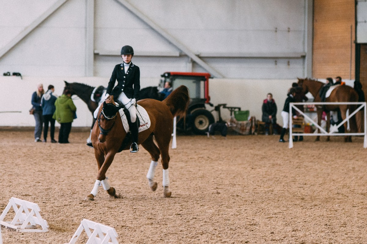 Выездка КСК «Дерби». Репортажный и семейный фотограф в Санкт-Петербурге Тарас Марченко