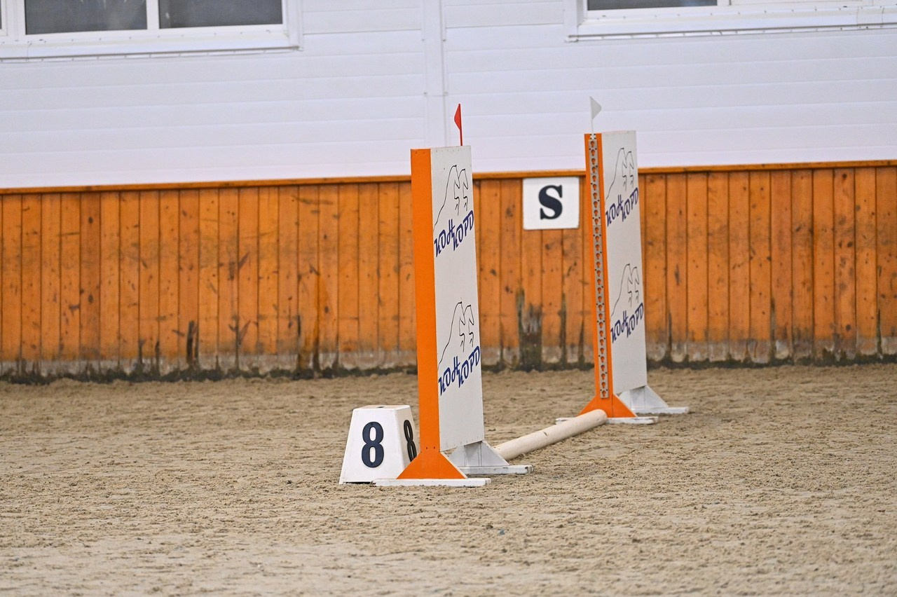 Отзывы. ТУРНИРНАЯ КОННАЯ ФОТОГРАФИЯ, Руднева Ольга и Евгений Адеев