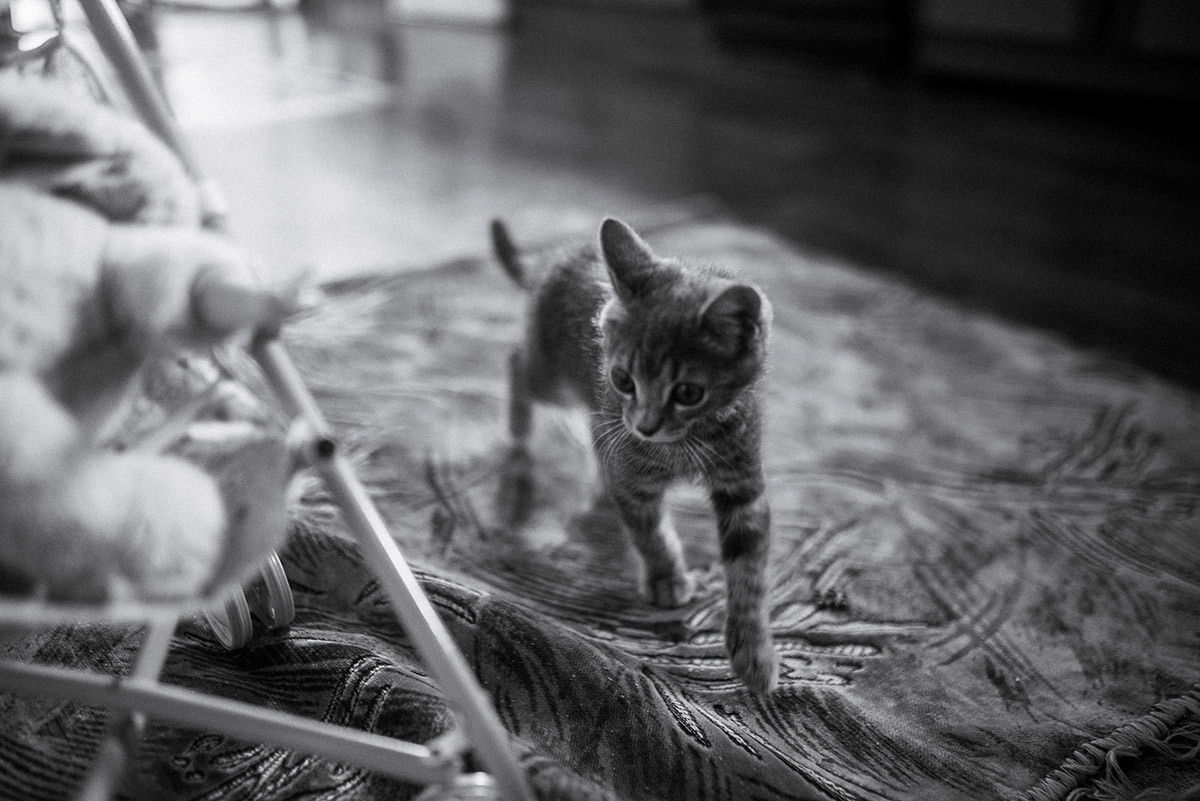 Дом, где я рос. Семейный документальный фотограф в Волгограде Мариэта Додина
