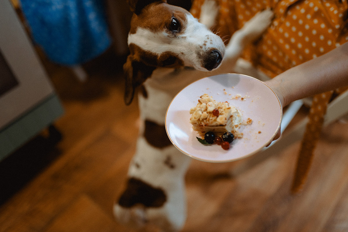 Особенный день — 10летие. Семейный документальный фотограф в Волгограде Мариэта Додина