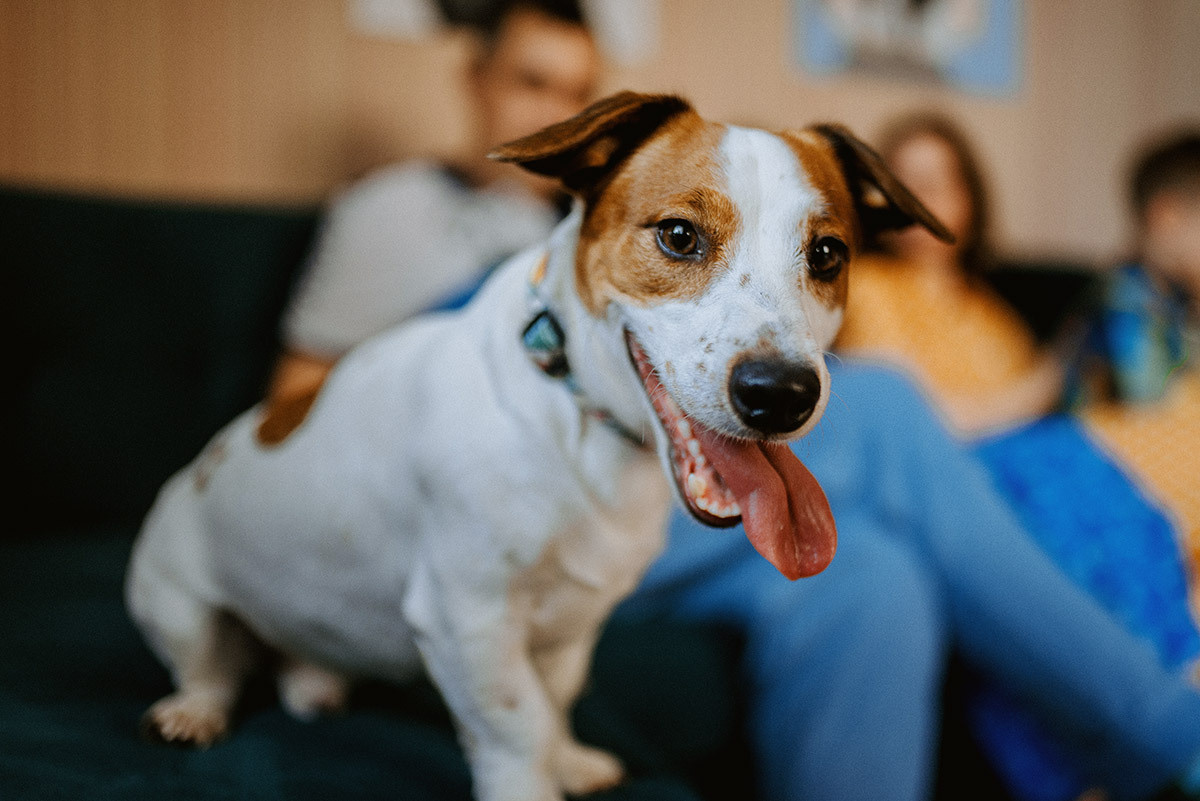 Особенный день — 10летие. Семейный документальный фотограф в Волгограде Мариэта Додина