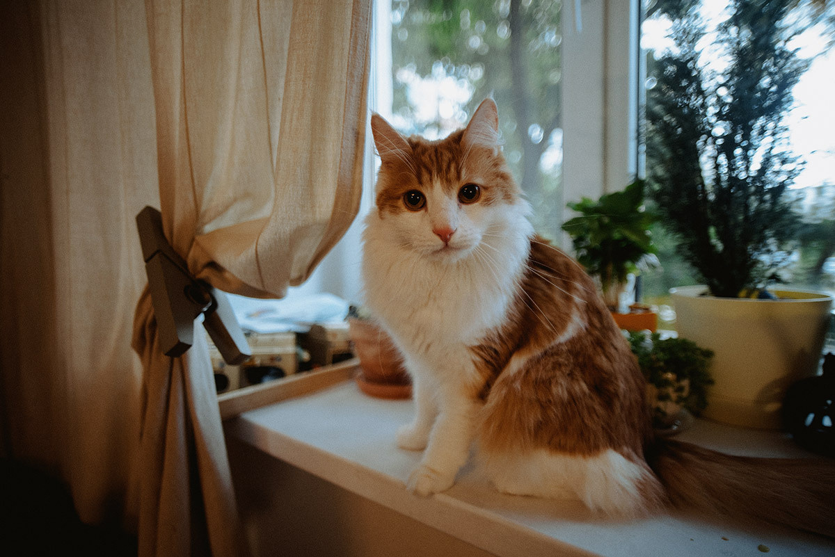 Счастье быть вместе. Семейный документальный фотограф в Волгограде Мариэта Додина