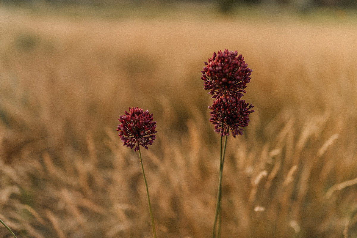 Центр вселенной. Семейный документальный фотограф в Волгограде Мариэта Додина