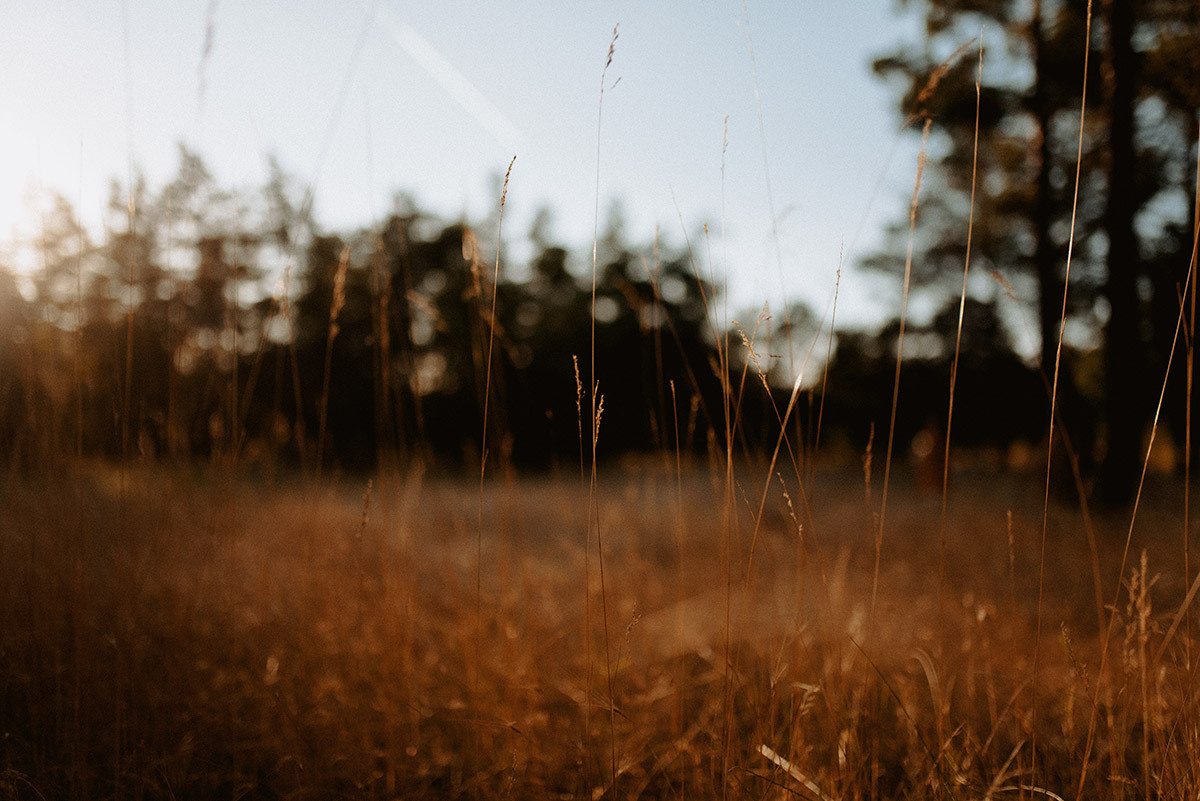 Счастье быть вместе ч.2. Семейный документальный фотограф в Волгограде Мариэта Додина