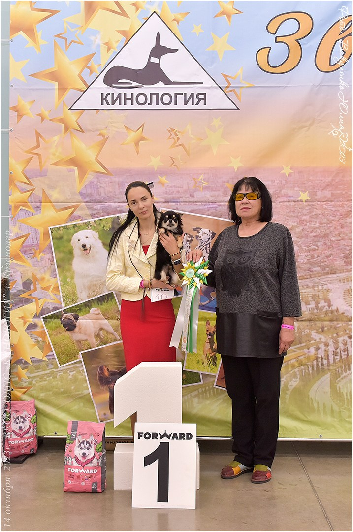 Репортаж. Фотограф анималист | семейный Юлия Вакуленко, г. Краснодар