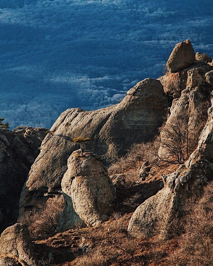 Экспедиции. Портретный арт и репортажный фотограф в Нячанге Ульяхина Полина