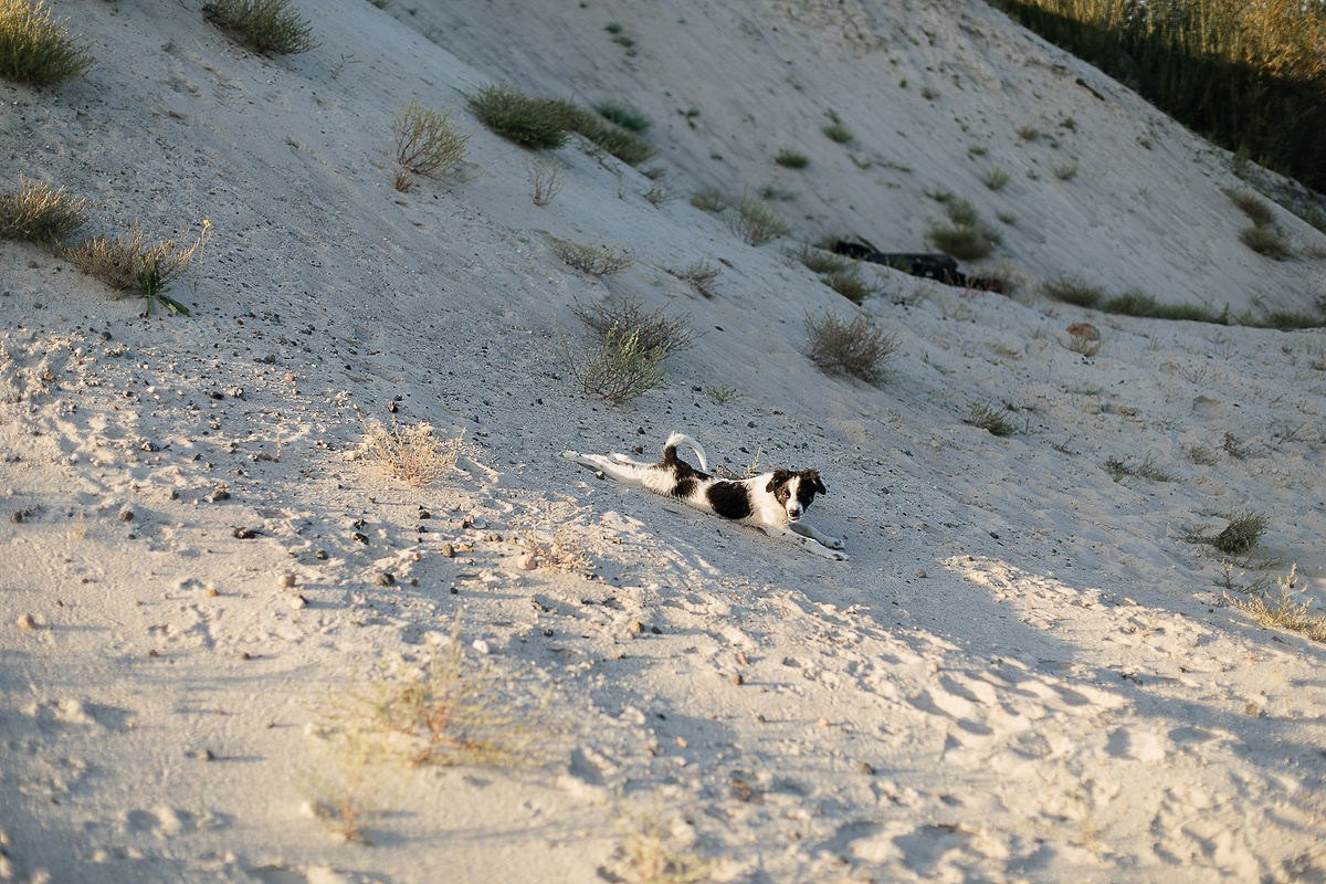 Оксана и Александр