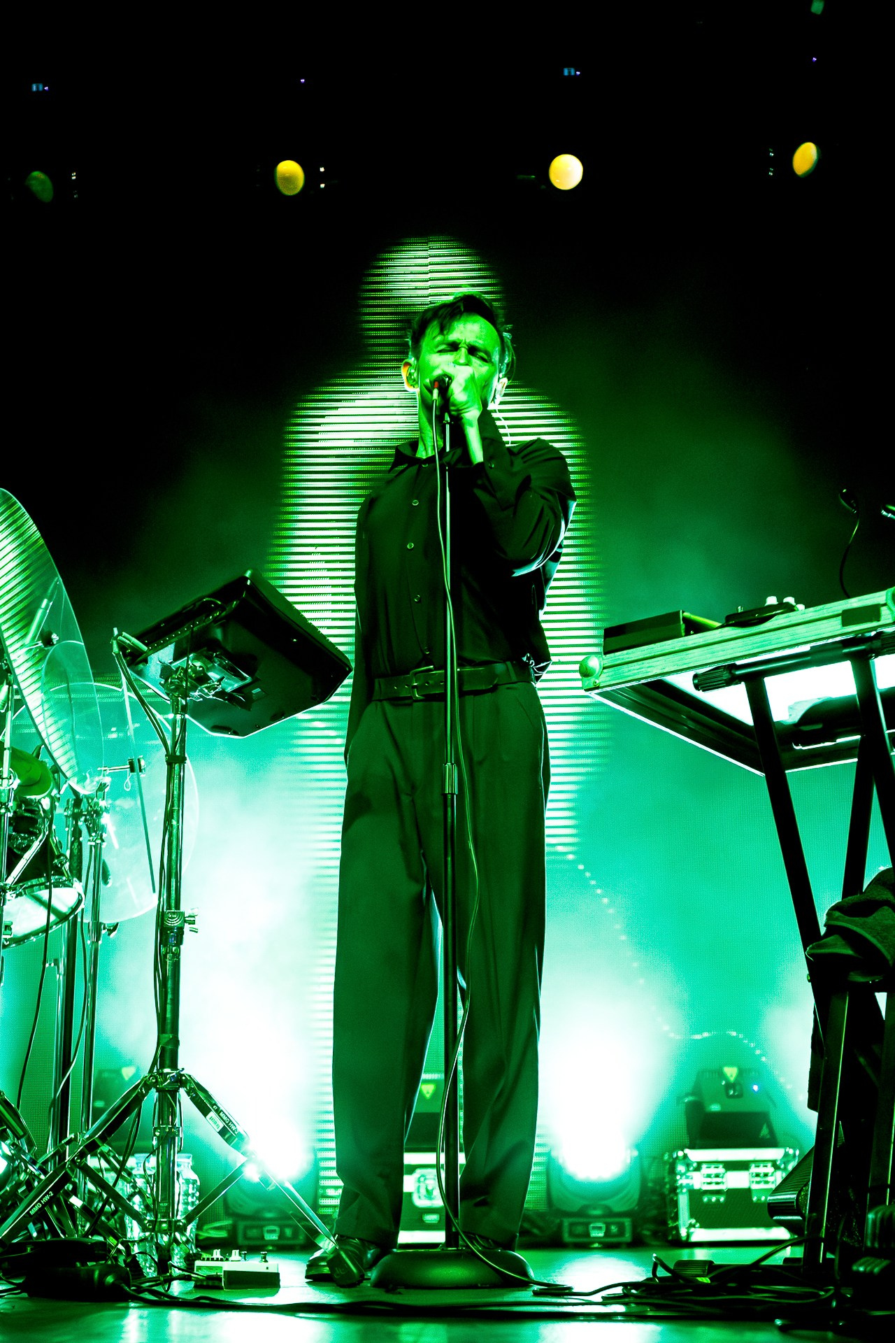 Андрей Лысиков. Дельфин, 05.06.25, VK Gipsy