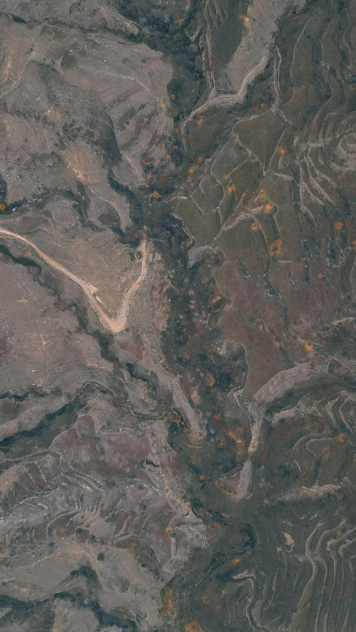 Дагестан 2023. Человек с фотокамерой