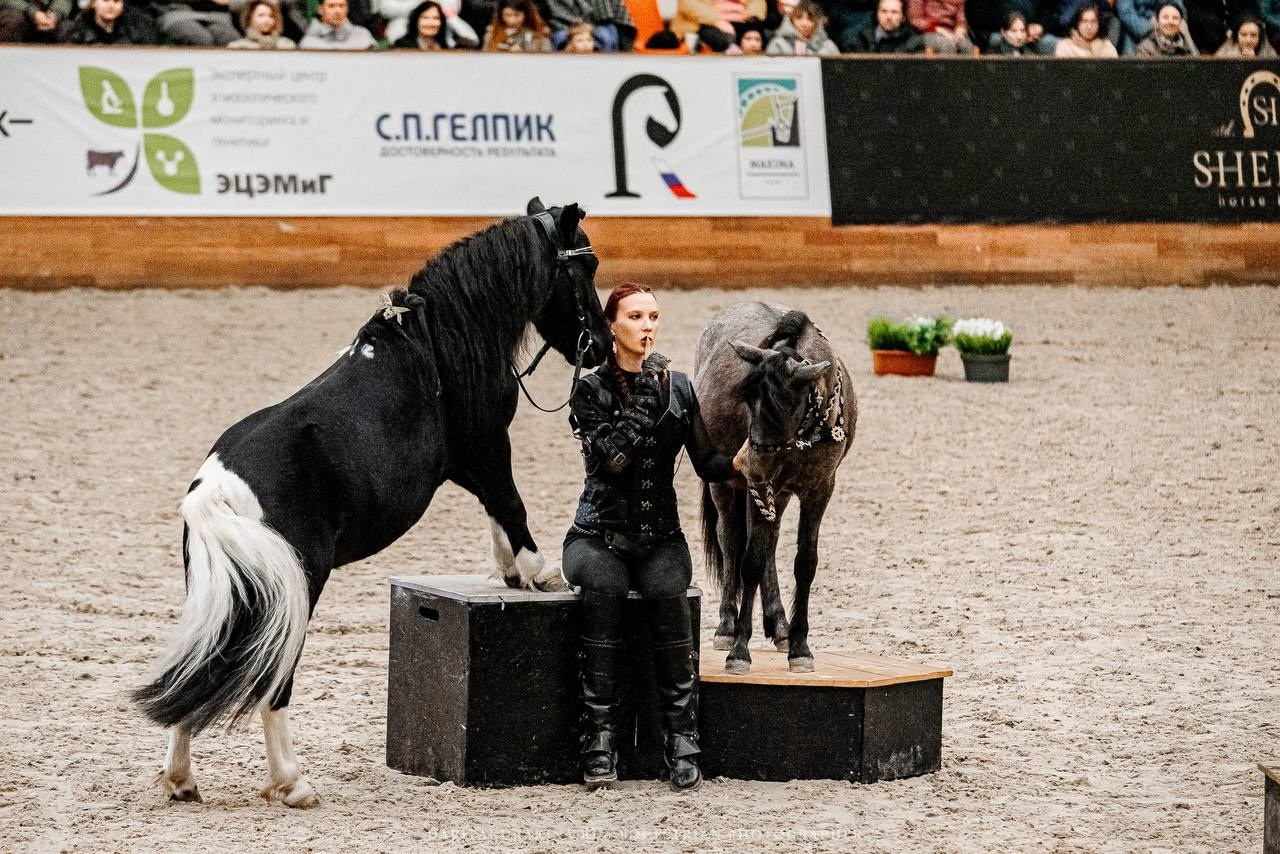 КОННАЯ РОССИЯ 2024. Конный фотограф Куракина Дарья • Фотосессии с лошадьми