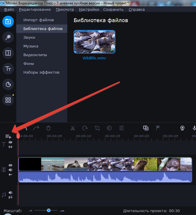 MOVAVI | работа с текстом. Свадебный, семейный и школьный фотограф в Сызрани Максим Баталов