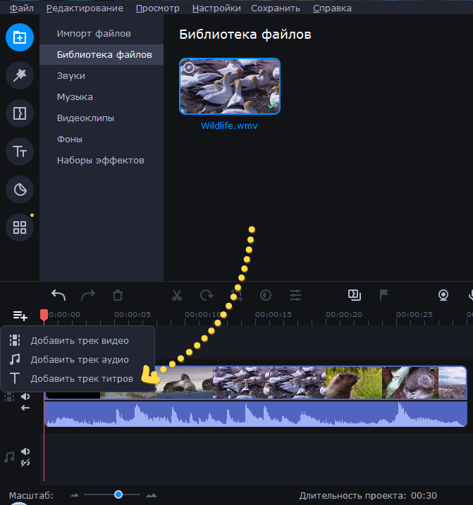 MOVAVI | работа с текстом. Свадебный, семейный и школьный фотограф в Сызрани Максим Баталов