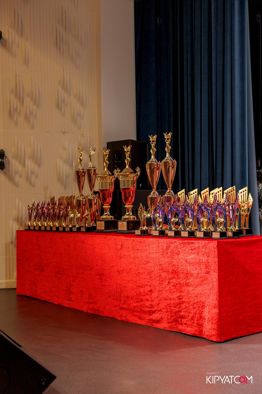 XXI INTERNATIONAL EUROPEAN FESTIVAL ARTS GERMANY-KAZAKHSTAN #ПРОЕКТЫЗИМИНА. КИПЯТКОМ АЛМАТЫ! Фотосъемка мероприятий в Алматы