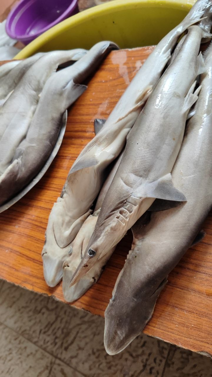 Индия. Живые снимки! Фотограф Даша Бендер