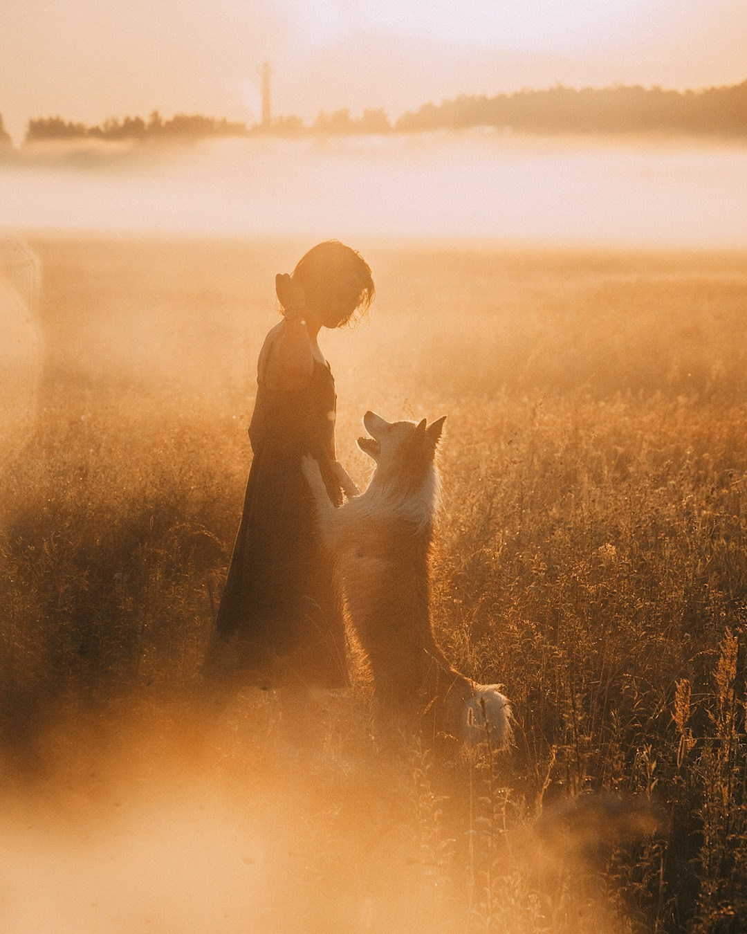 Рина и Марси. Фотограф анималист в Москве и Санкт-Петербурге Свиридова Анна