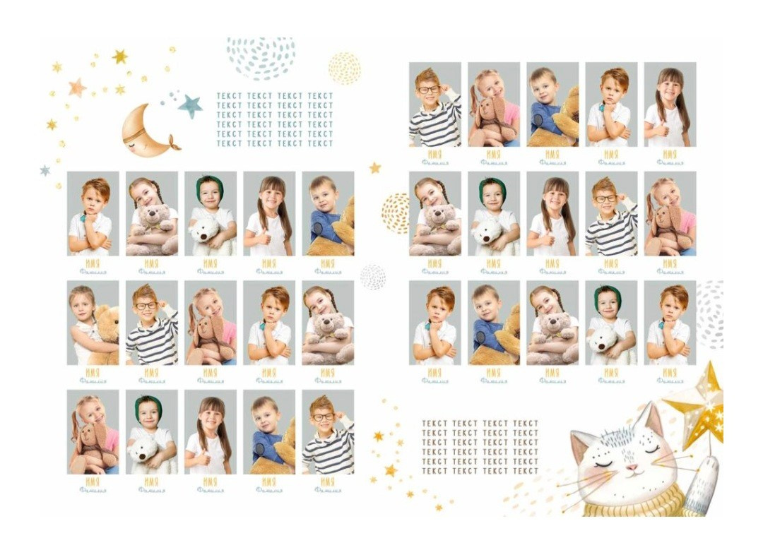 Золотой котик. Anna Gidros — профессиональный фотограф