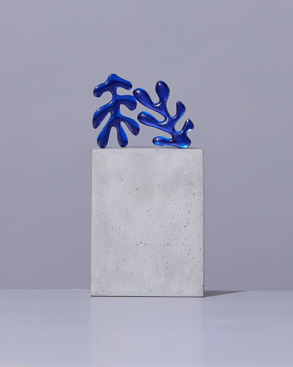 ПРЕДМЕТНАЯ. KATERINA MOROZOVA