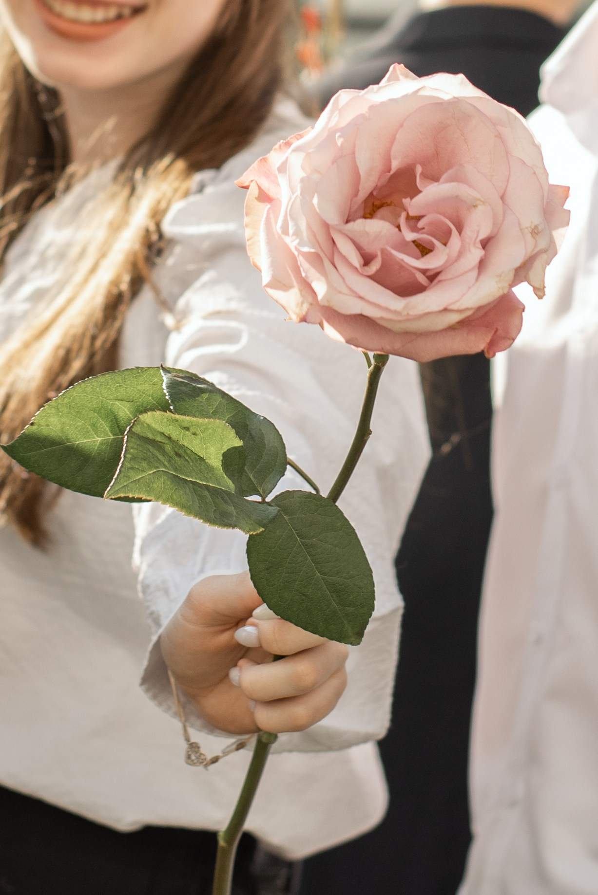 1 сентября. Семейный фотограф Екатерина Шаманаева