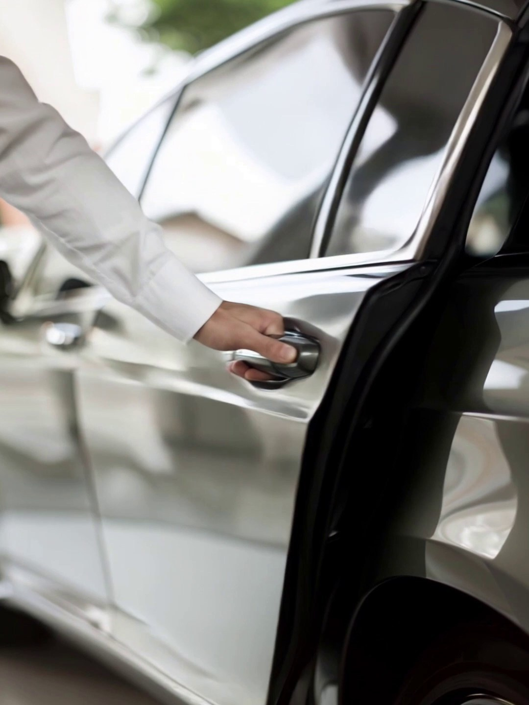 ВИДЕО И АНИМАЦИЯ. Студия Антонины Баушевой