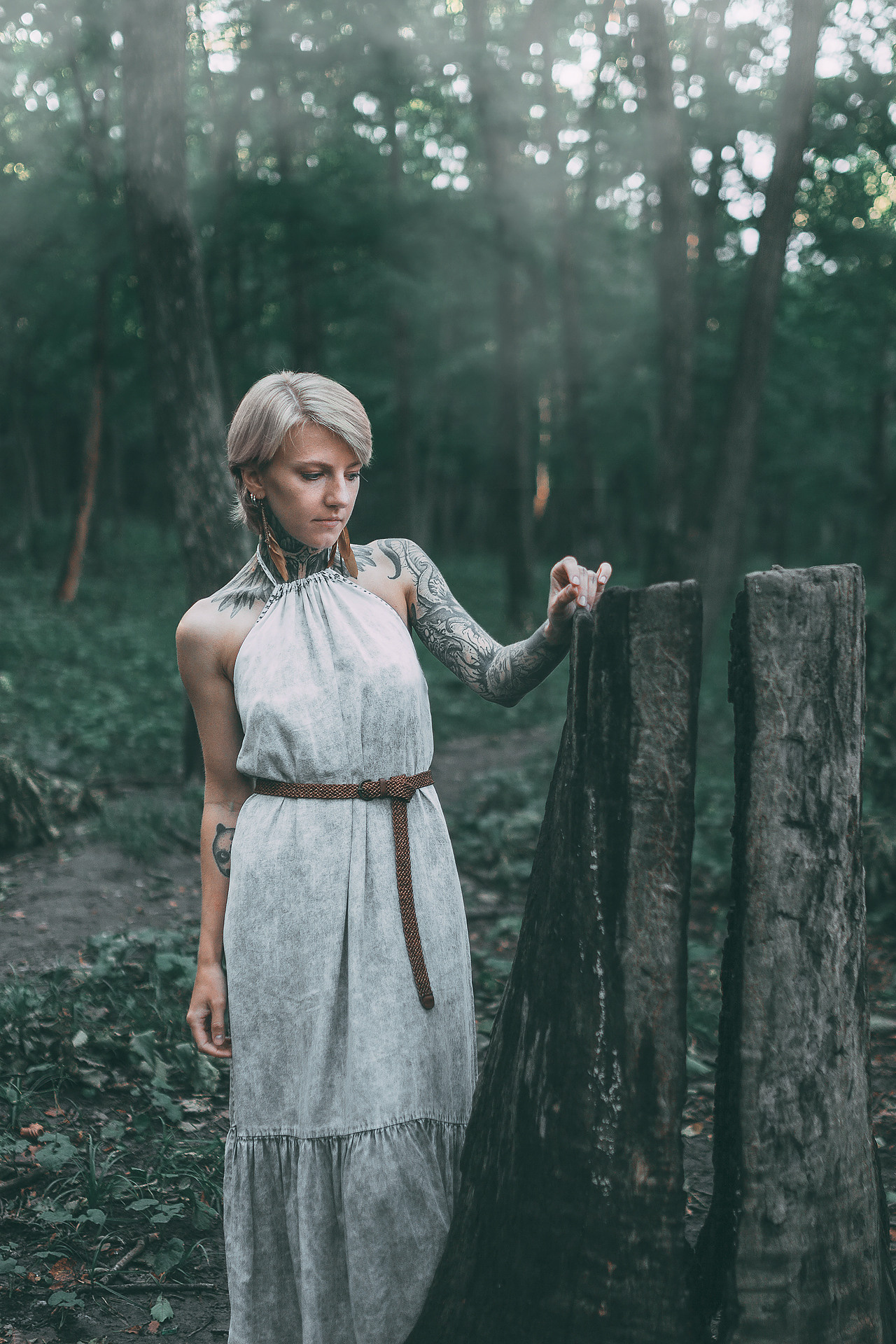 Created by mist. Aleksandr Schafft