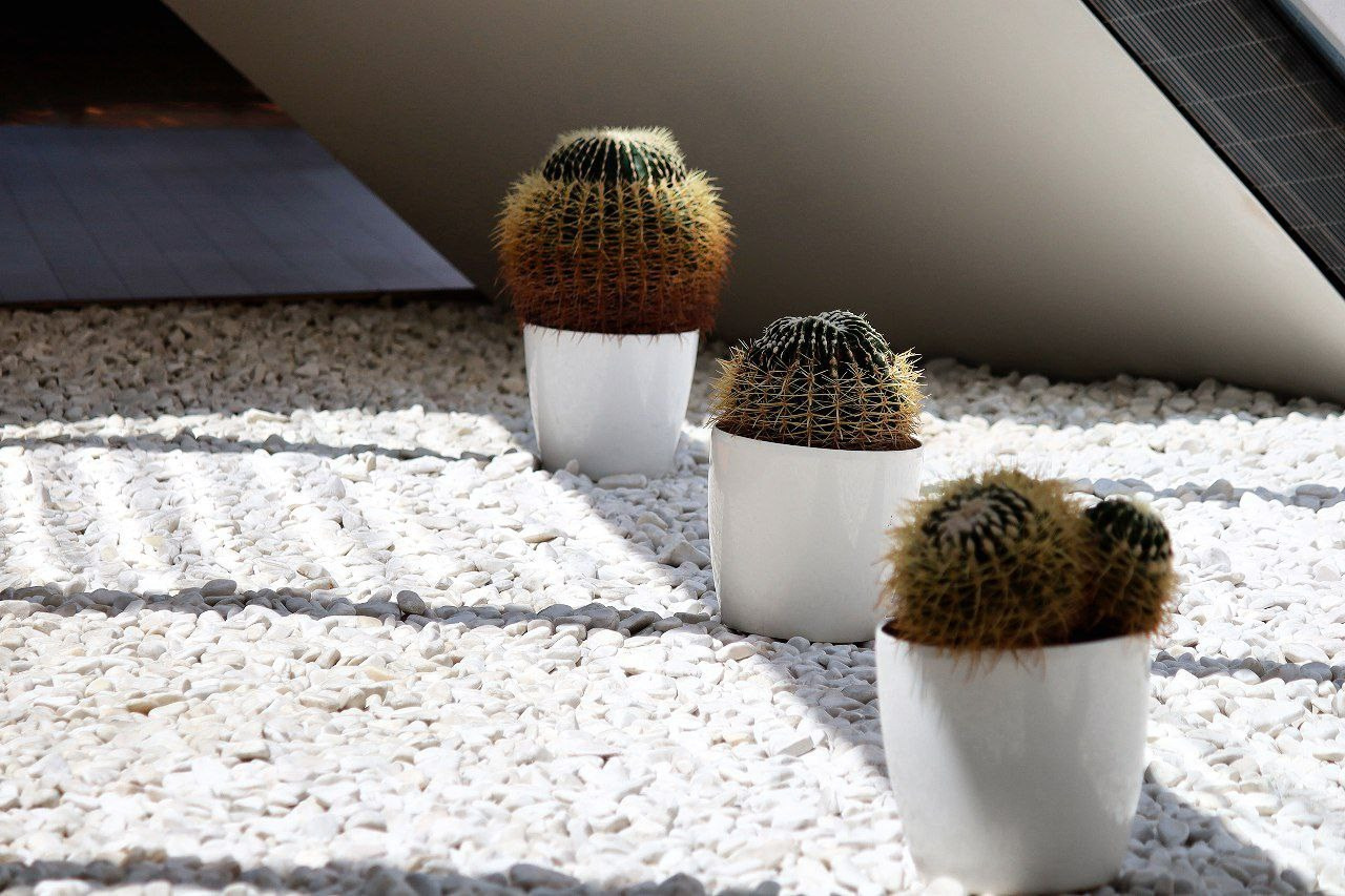 Баку. Главная