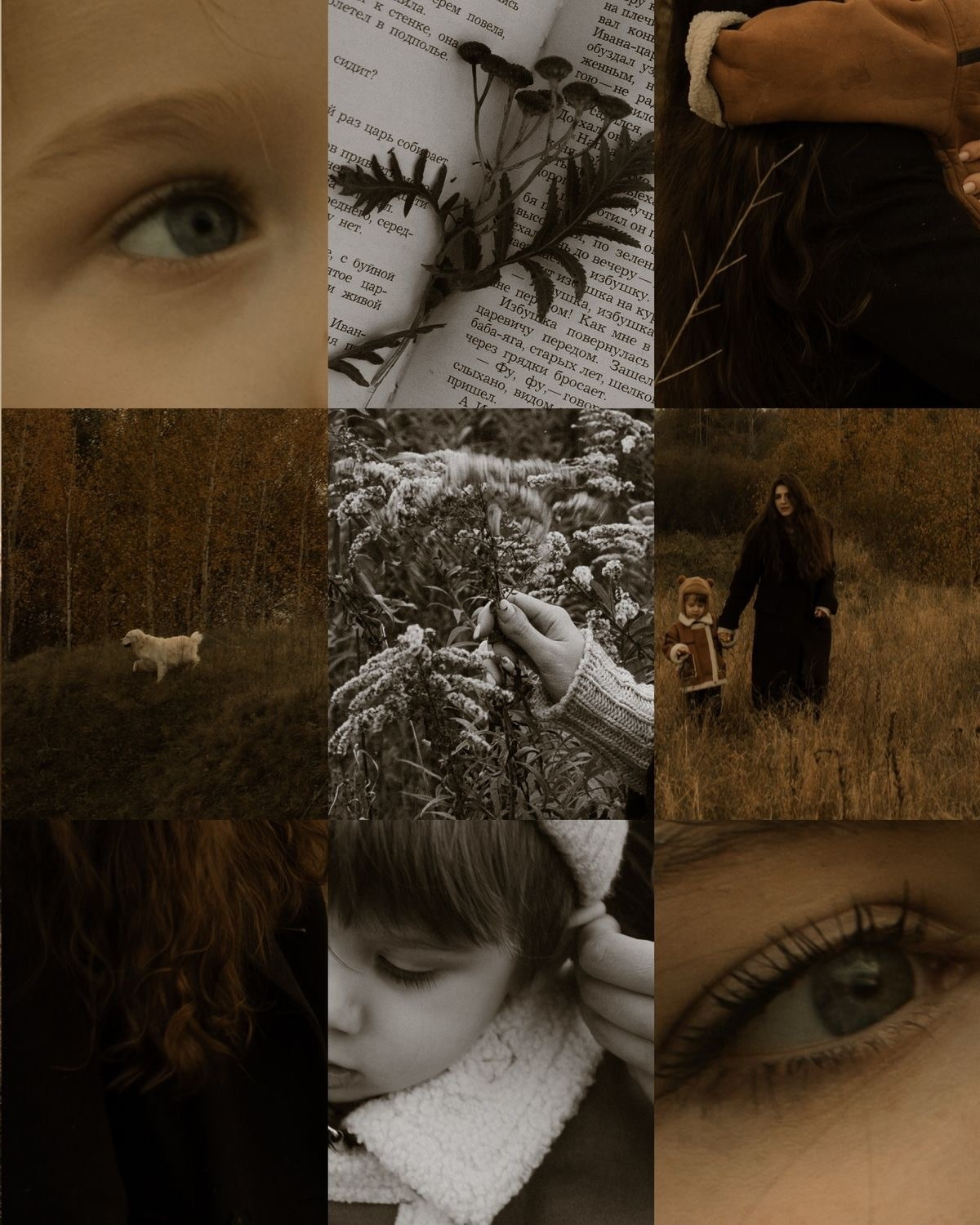 Семейные фотосесии 2025