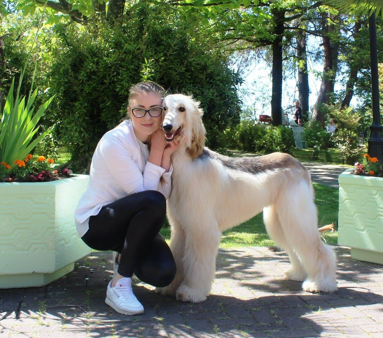 LYCORIS DREAMS BLUE DIAMOND «Evian». Профессиональный питомник левреток РКФ/FCI ASTI SAPPHIRE 💎 Сочи|Санкт-Петербург