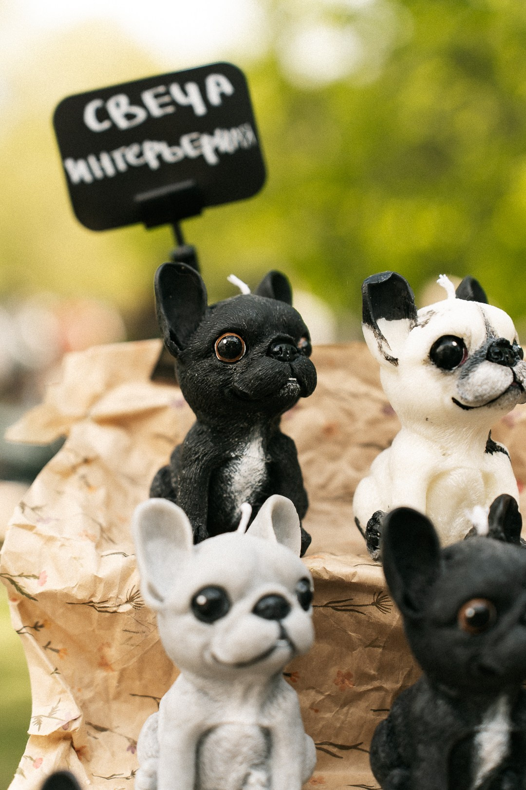 Парад Бульдогов. Axenov_eugene