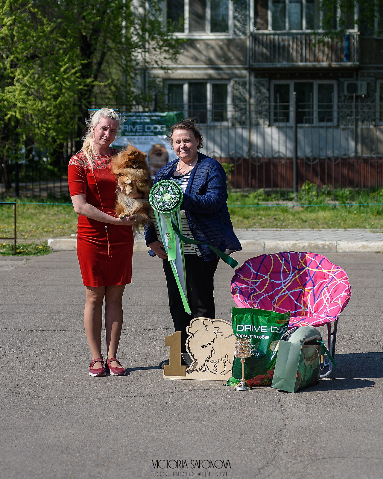19 мая 2024 Благовещенск. Монопородная выставка шпицев. Фотограф анималист Благовещенск. Сафонова Виктория