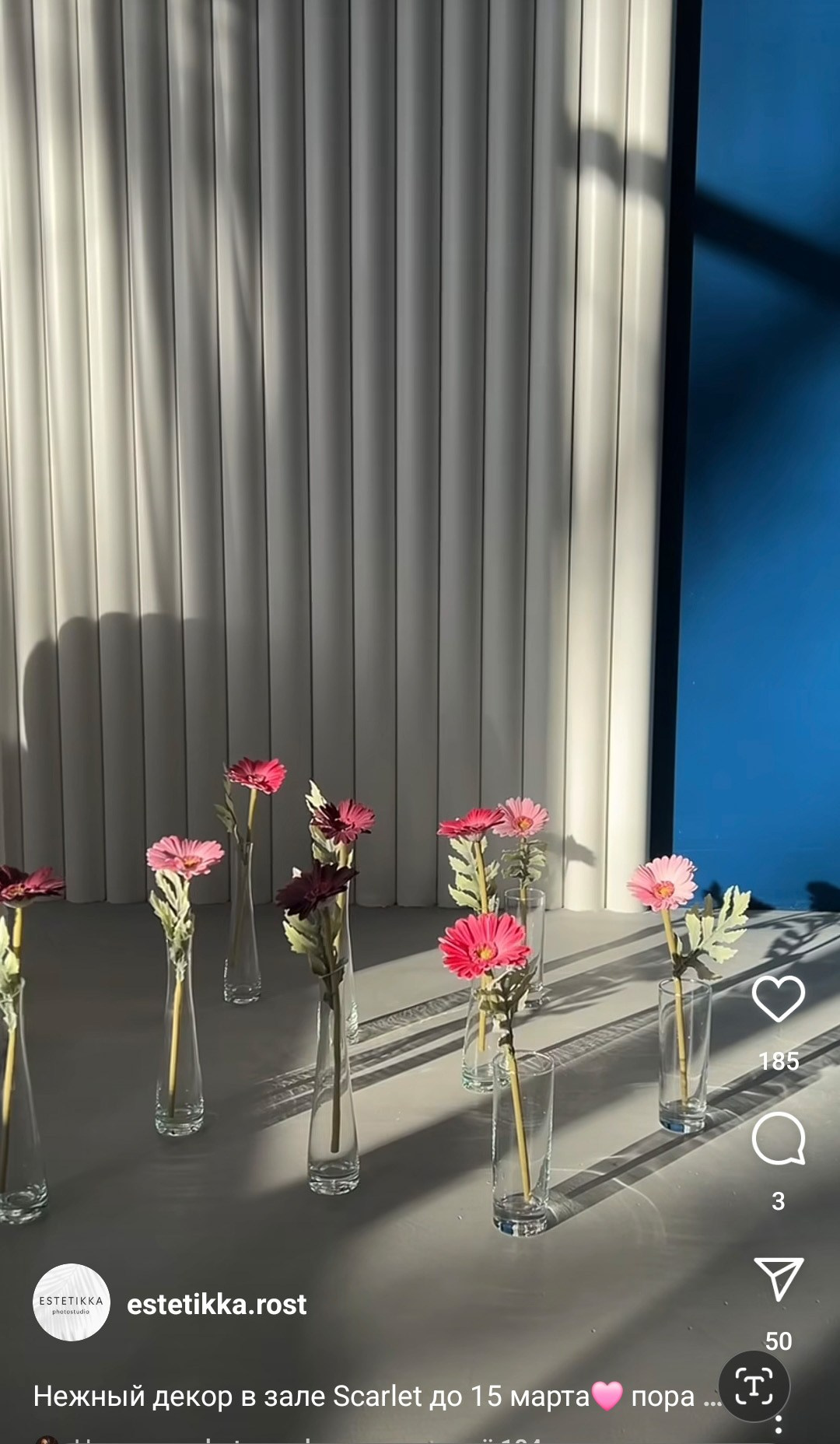 Весенняя фотосессия в студии. Свадебный и семейный фотограф в Ростове-на-Дону. Андрей Сайфутдинов