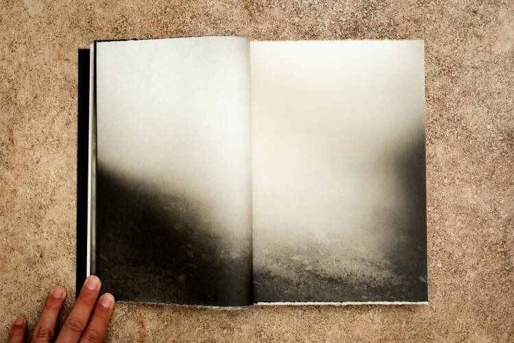 Как форма книги может влиять на концепт?. Самоорганизация Низина