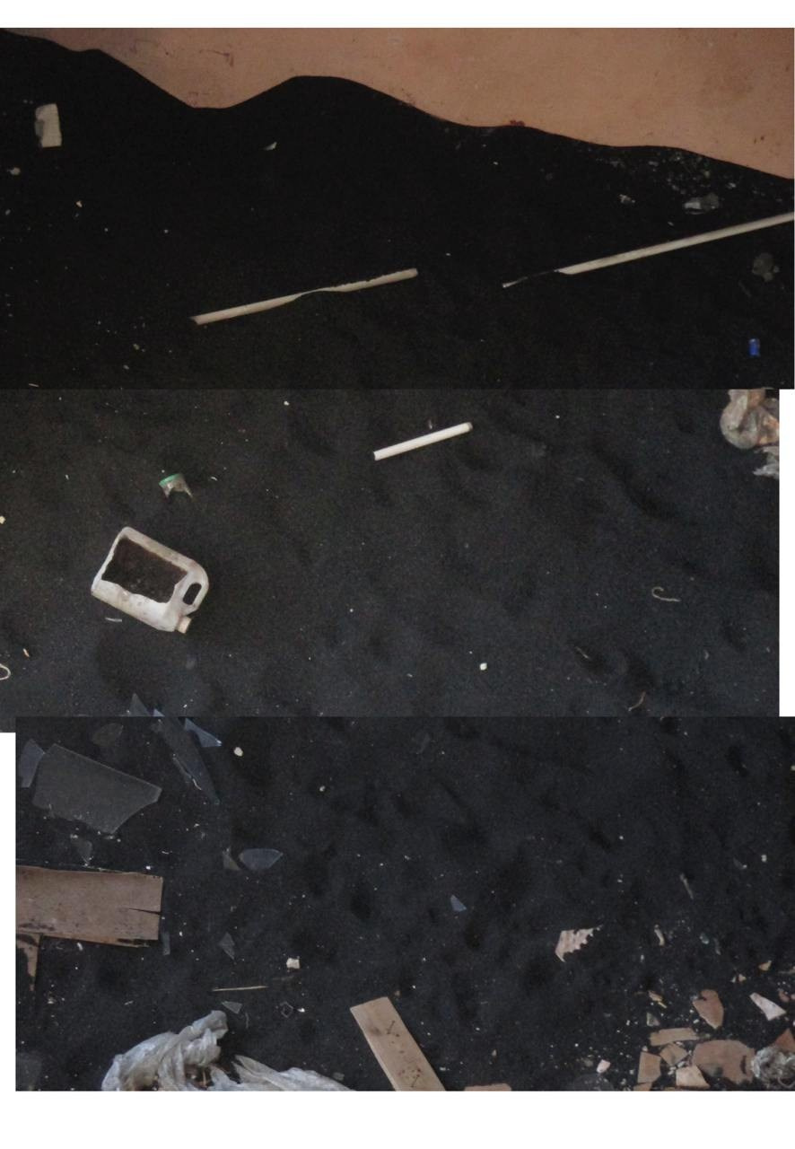 GULF OF FINLAND TRIP' June 2024. Nik Paustovskiy photography