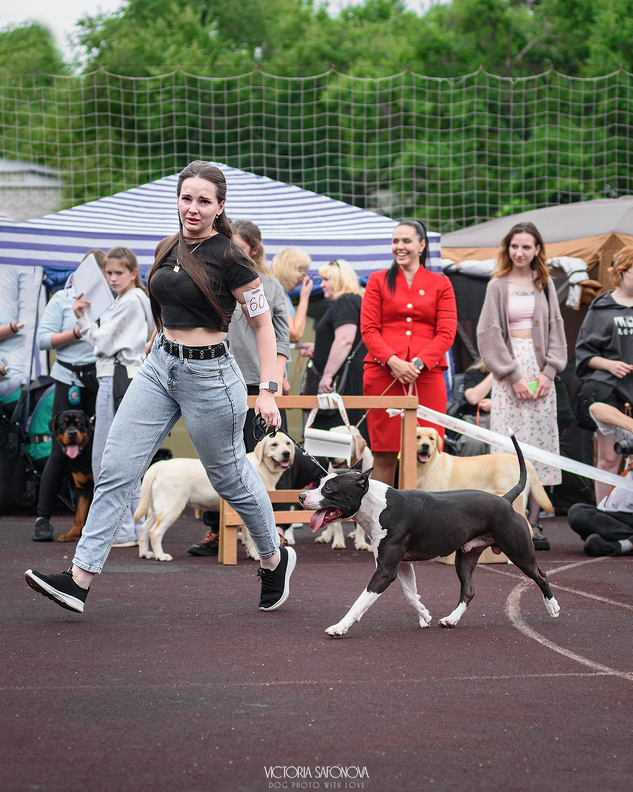 10 августа 2024. Благовещенск. Фотограф анималист Благовещенск. Сафонова Виктория