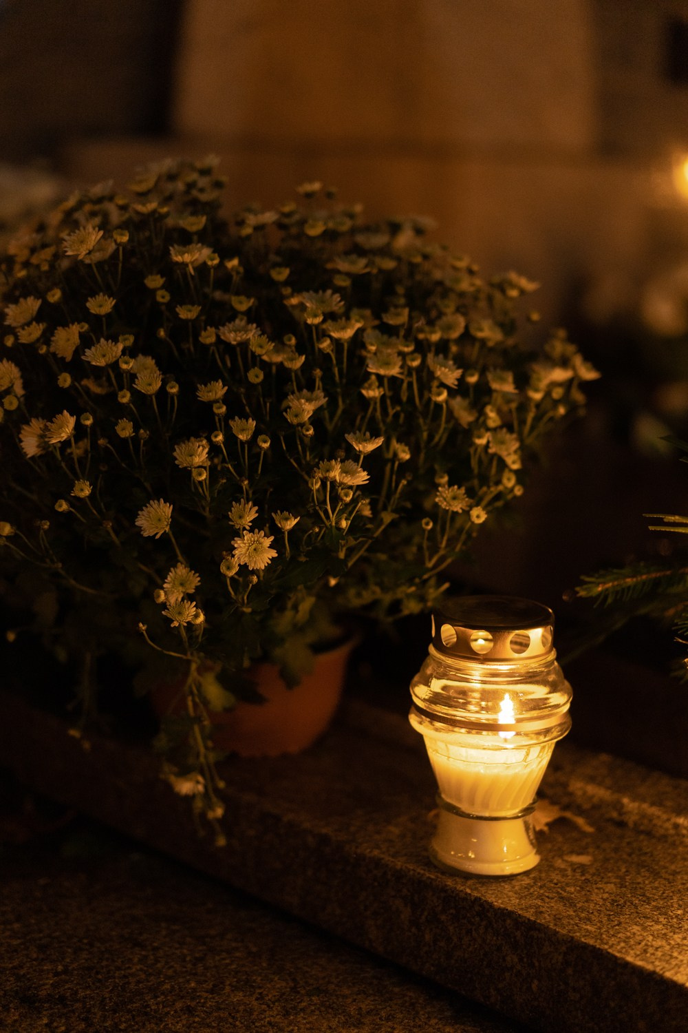 Visų šventųjų diena. Photographer in Vilnius