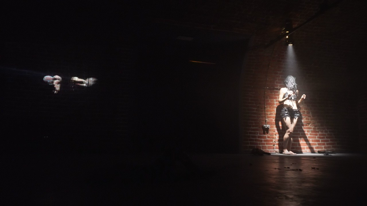 Красное дерево. Фото / Видеосъемка в Москве