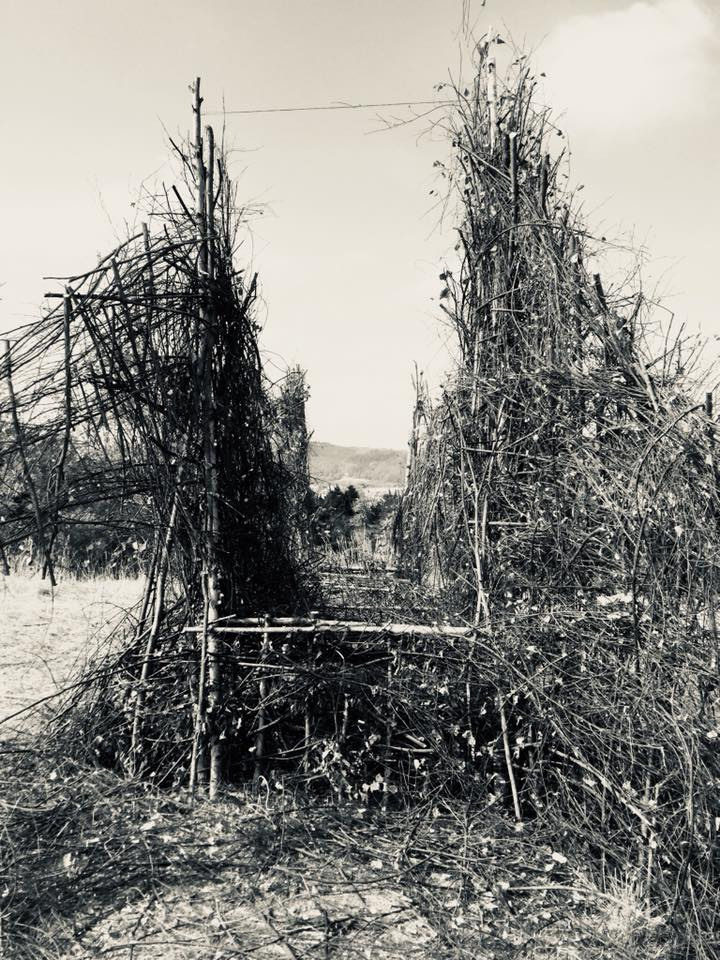 Висячий мост в облаках. 2018. Лэнд арт. Германия