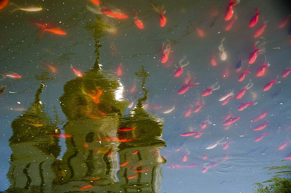 Церковное. Приходской фотограф и педагог Екатерина Ивлянова